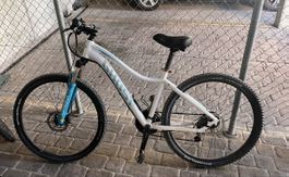Mountainbike Ghost weiss blau