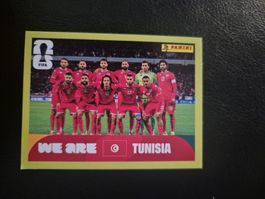 Panini WM 26 TUN 13