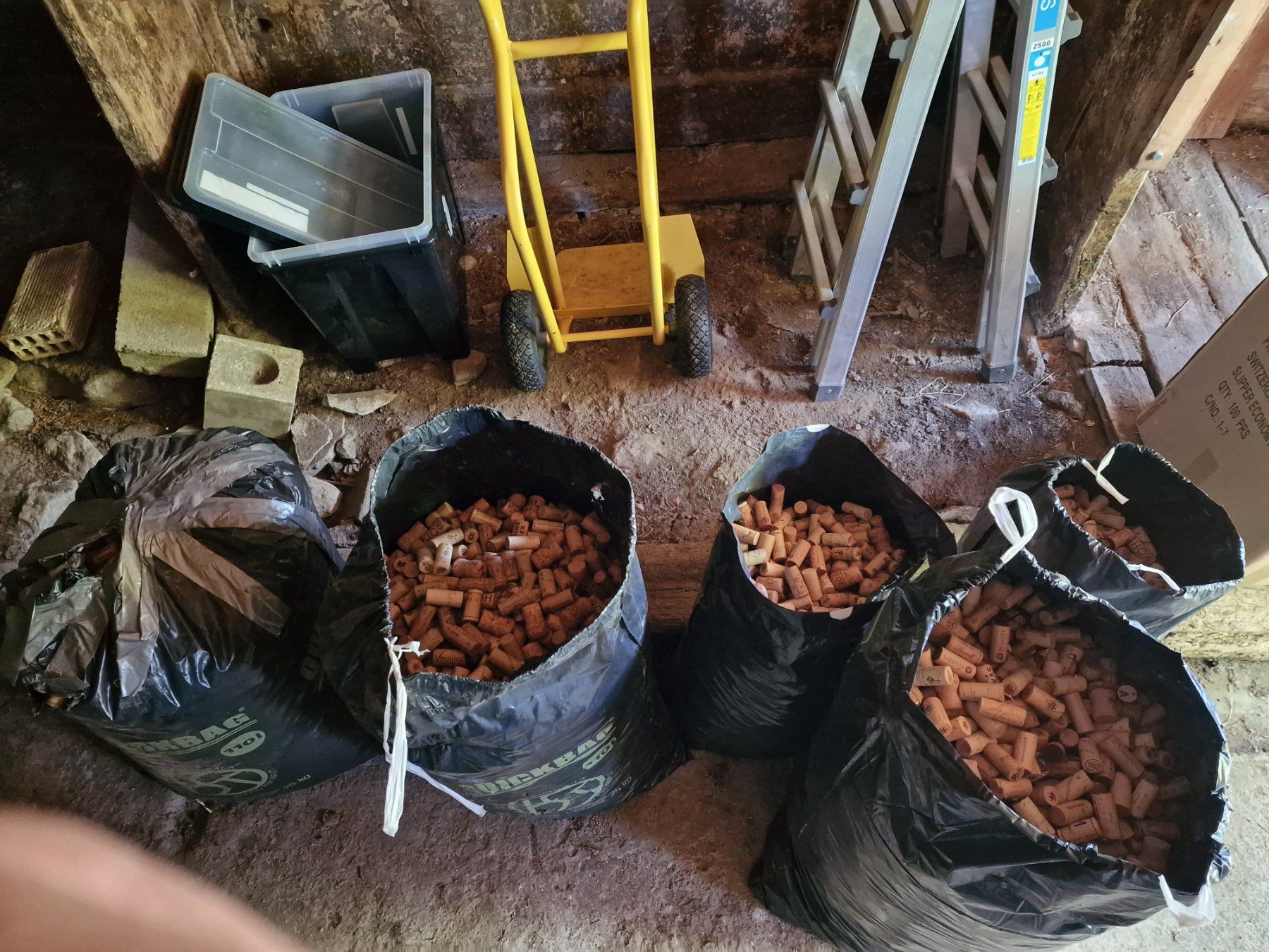 Apribottiglie & Tappi per chiusura: Korkzapfen – Usato da Flüelen venduto da novena 2
