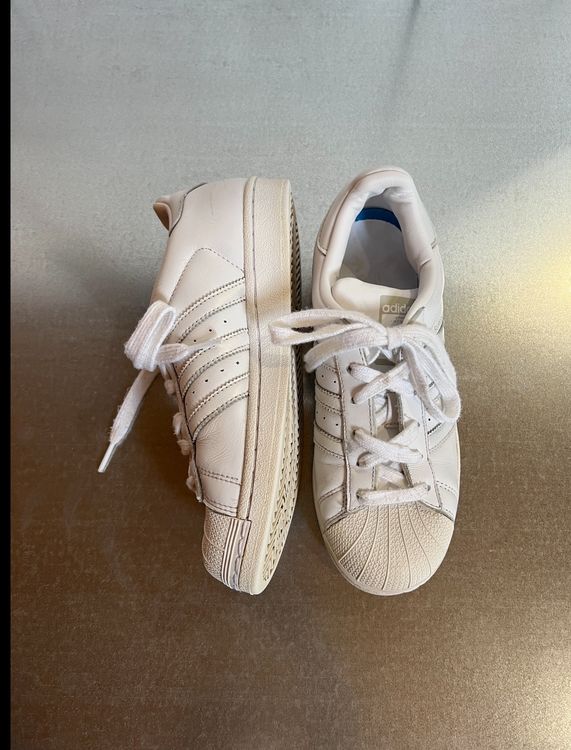 adidas superstar 37