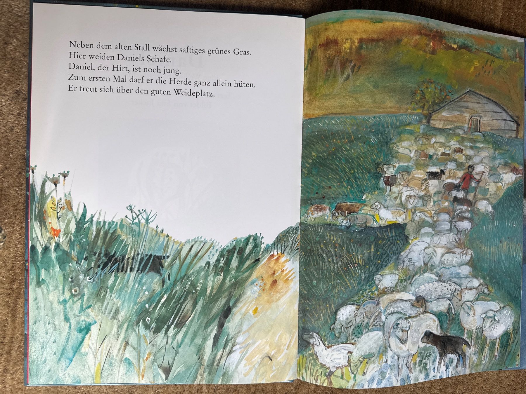 Libri: Daniel - Weihnachtsgeschichte mit Liedern, Gerda Bächli – Usato da Aarau venduto da Kilauea 1