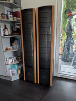 Martin Logan SL3 Lautsprecher, hervorragender Zustand