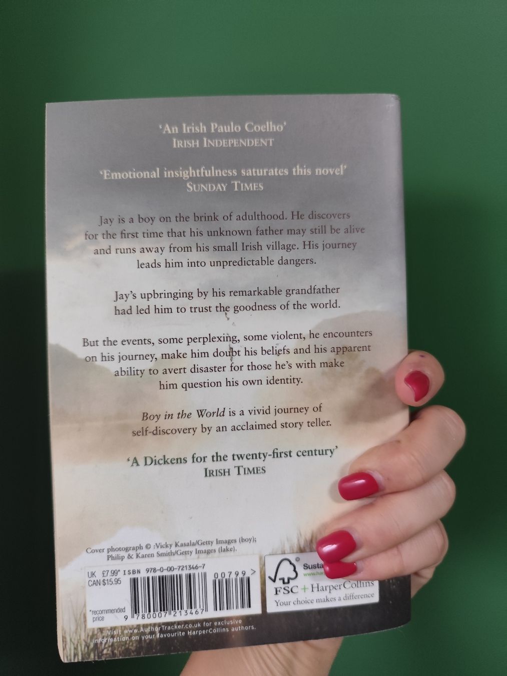 Libri: Niall Williams: Boy in the World – Usato da Mägenwil venduto da VintageGirly 2