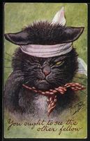 Arthur Thiele: You ought to see the othe