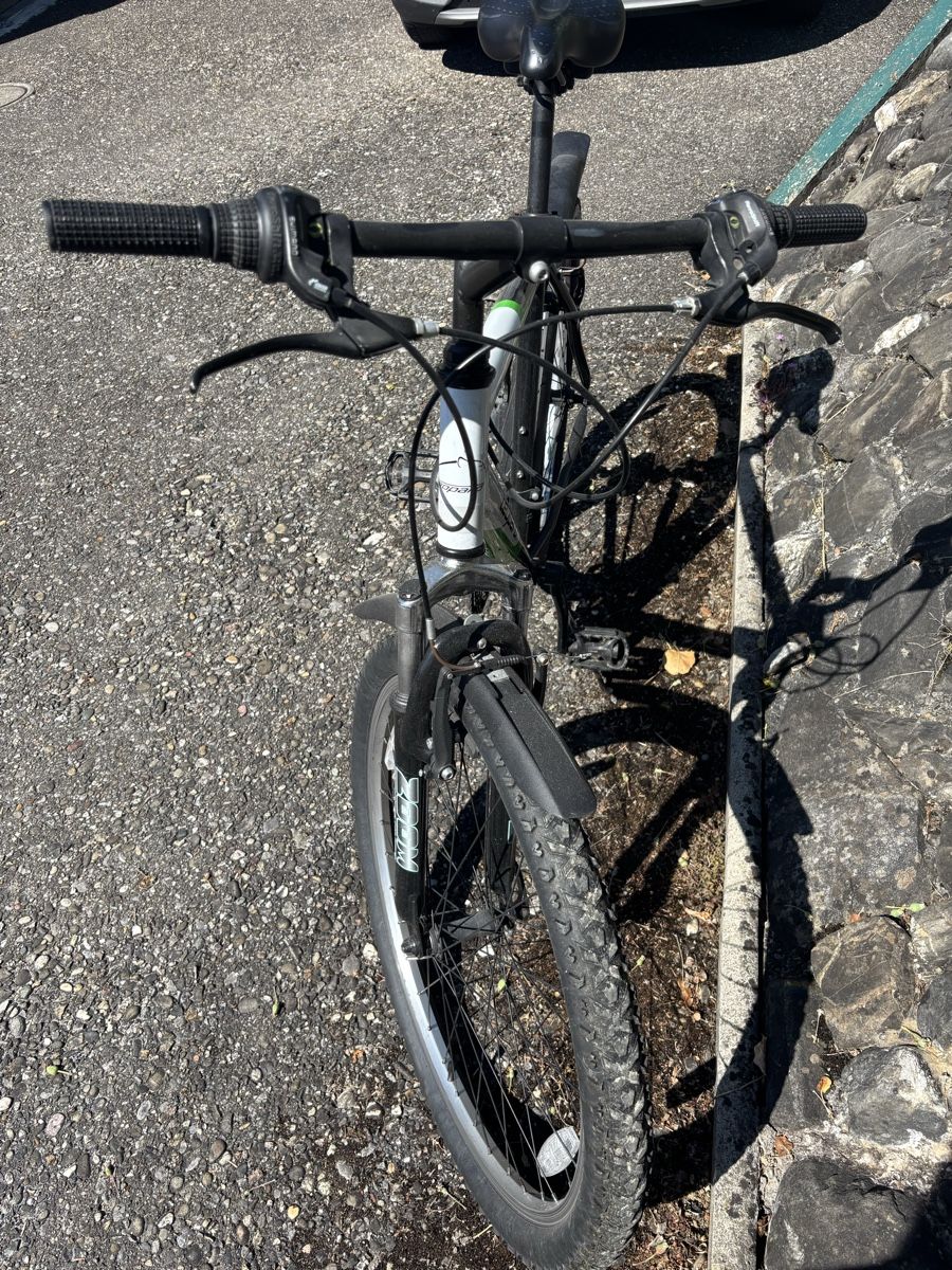 Leopard Velos: Velo – Gebraucht aus Lausen von schwaafli 1