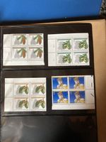 Briefmarken Sammlung Helvetia Konvolut guter Zustand