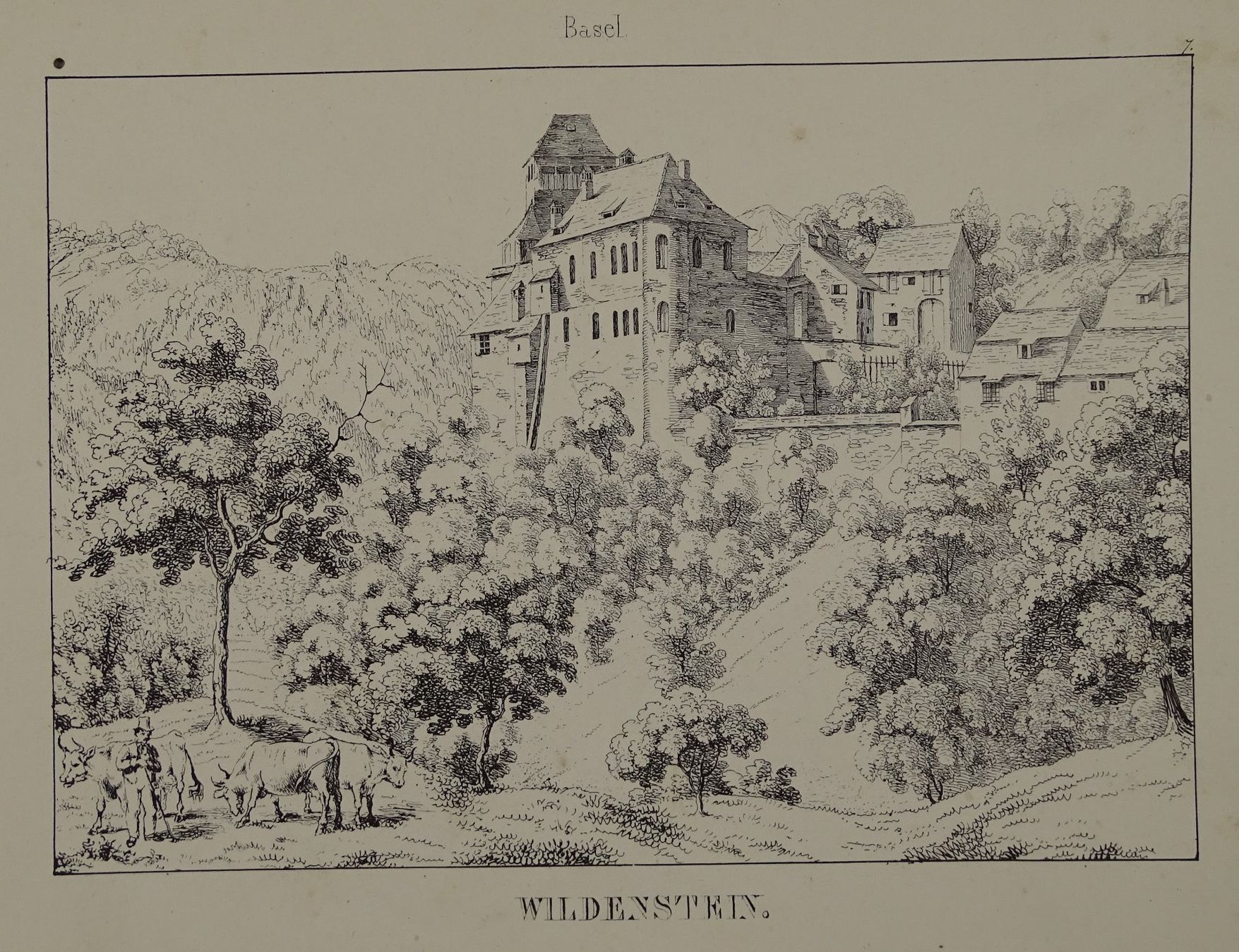 Incisioni: WILDENSTEIN, BASEL, FEDERLITHOGRAPHIE 1840 – Usato da Grüningen venduto da Kartensammler