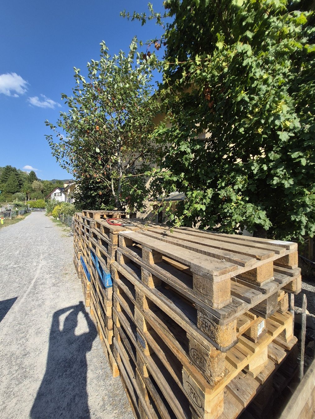 Palettes: Holzpaletten gebraucht EPAL Standard – D'occasion à Laupen ZH par Till_keller 1