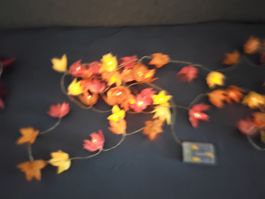 LICHTERKETTE BLUMEN