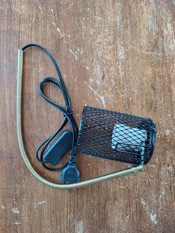 Lampenfassung Wärmelampe Terrarium Kaufen auf Ricardo