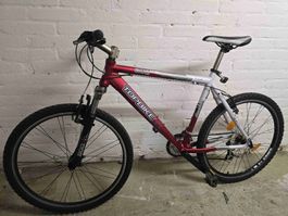 Mountainbike Topbike 300S rot silber