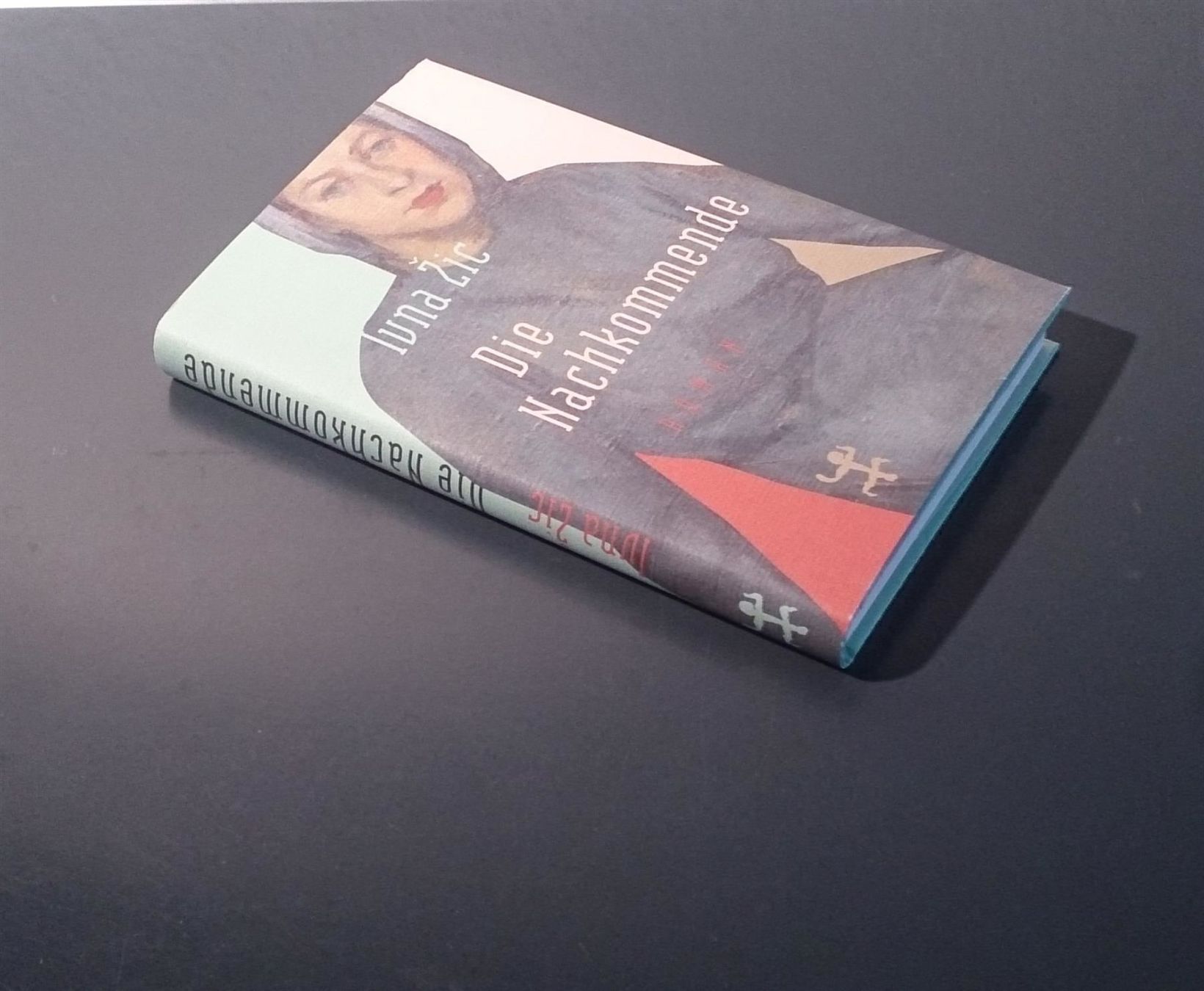 Libri: Die Nachkommende von Ivna Žic – Usato da Dübendorf venduto da Povo 2