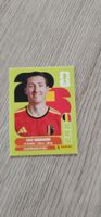 Fifa World Cup Panini BEL 14