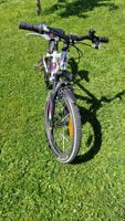 Bulls Kindervelo Tokee 20" Grösse 28