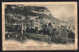 AK St. Beatenberg, Dorf mit Birnefluh
