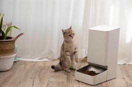 Xiaomi smart pet food feeder