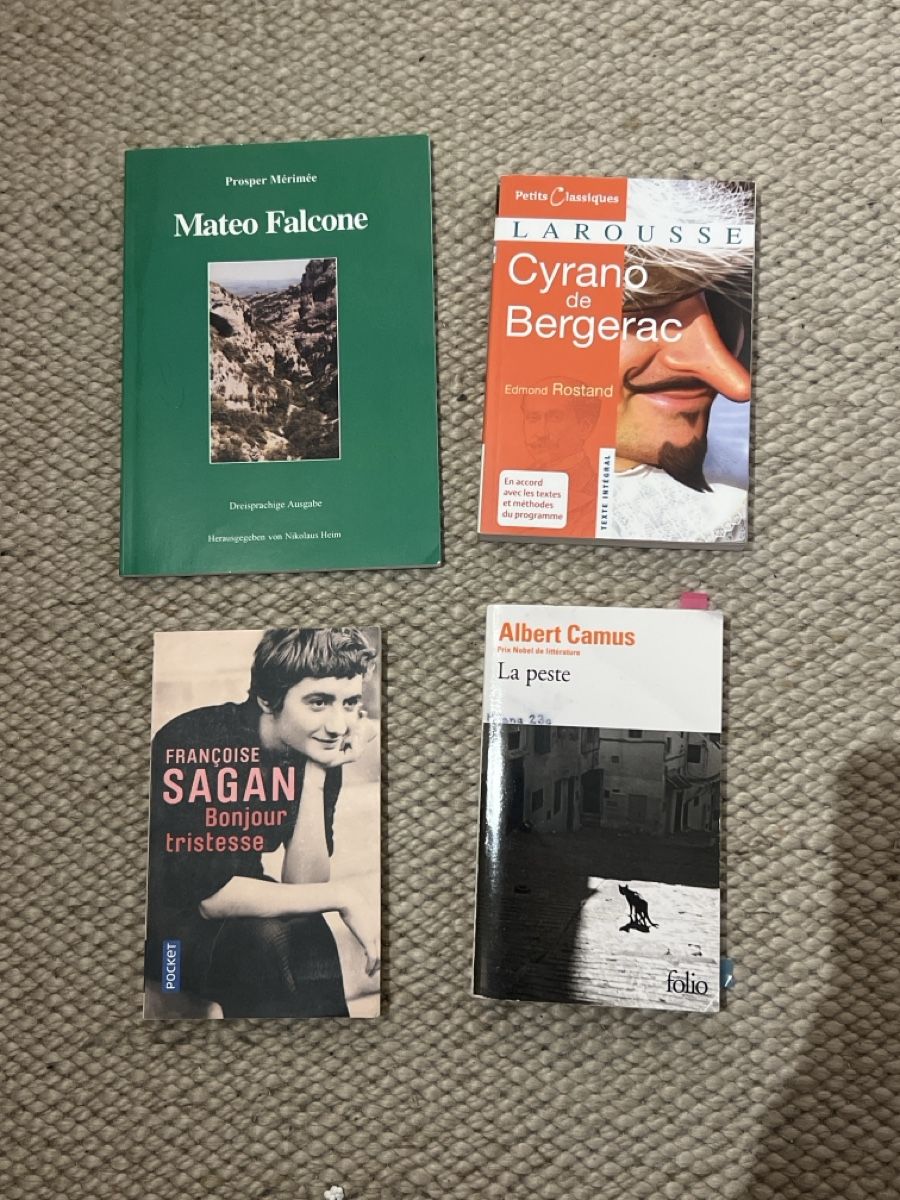 Libri: Französisch Bücher Gymnasium  – Usato da Ringgenberg BE venduto da milenazimmerma