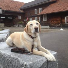 Profile image of Murphy65