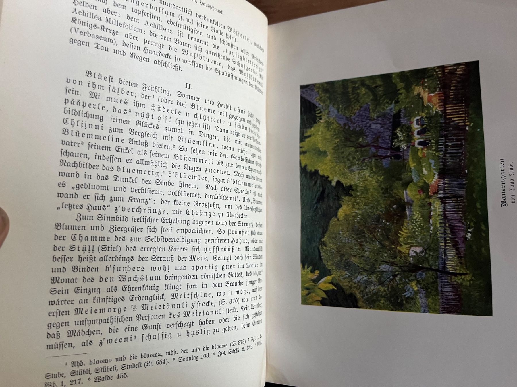 Bücher: aarwangen, friedli, bärndütsch als spiegel.. 1925 – Gebraucht aus Emmenmatt von flyrecords 2