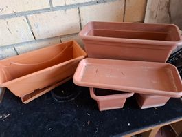 Gebrauchte Pflanzentröge, ideal für den Frühlingsgarten!