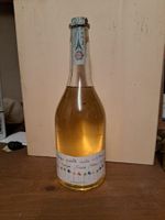 Levi Grappa