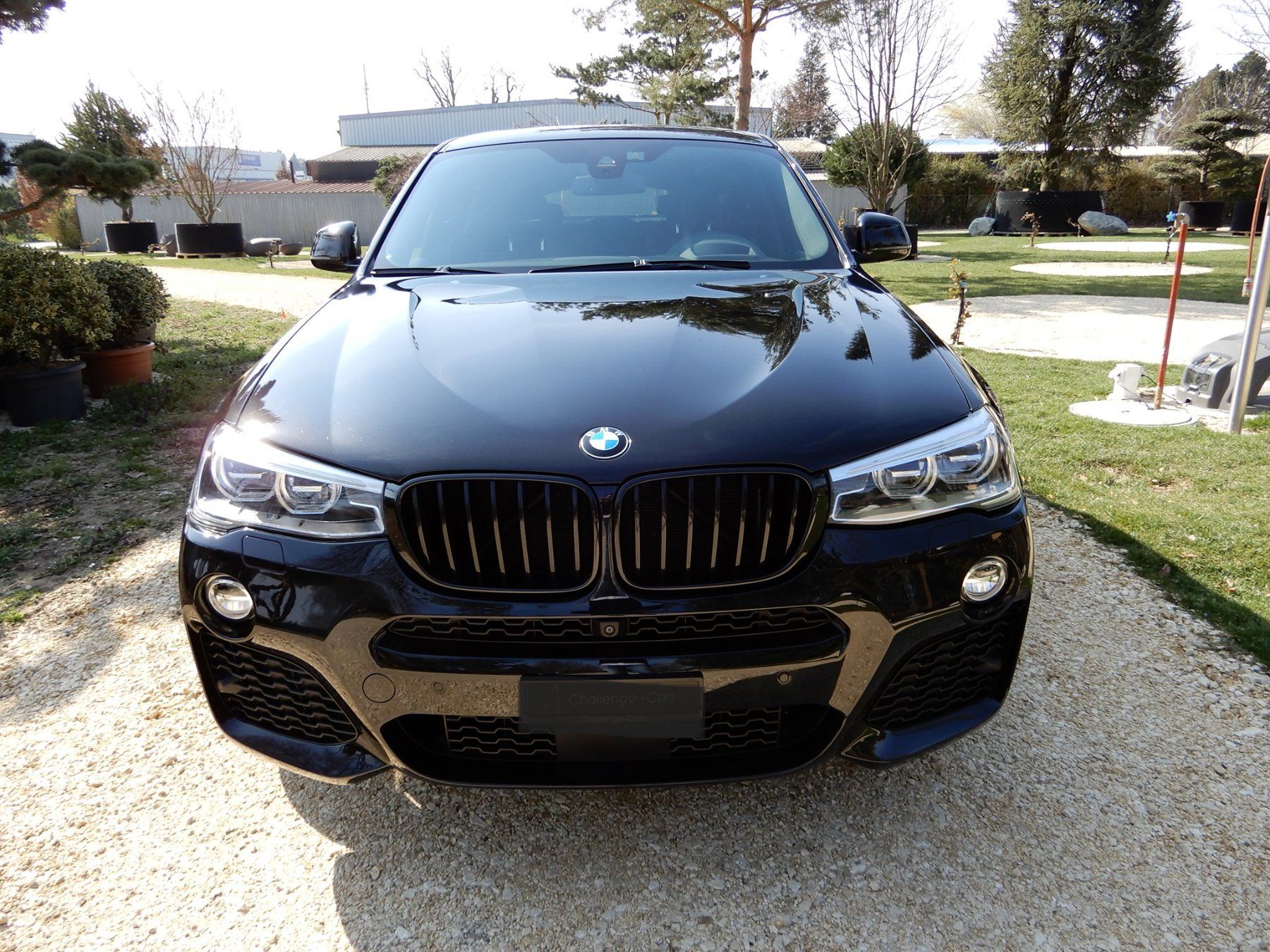BMW Automobili: BMW X4 xDrive 20d – Usato da Conthey venduto da gui_vzj9 5