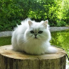 Profile image of RebeccaH93
