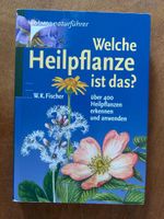 Kosmos: Welche Heilpflanze ist das?