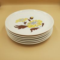 6 assiettes plates Sovirel France années 70 Flower Power
