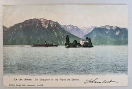 Genfersee, Île de Salagnon  mit Dampfschiff 1906