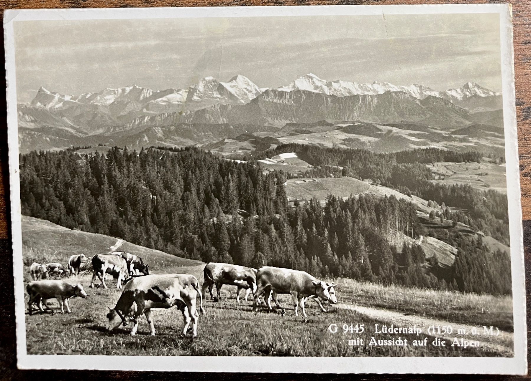 Ansichtskarten: LÜDERNALP - KÜHE AUF DER WEIDE 1955 – Gebraucht aus Lutry von Ediego