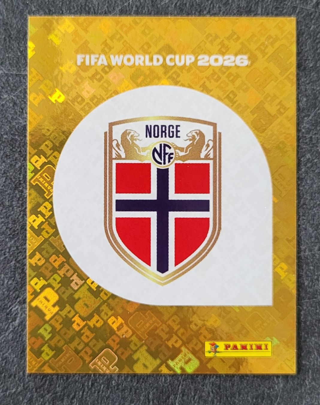 Panini Sammelbilder & Trading cards: Panini FIFA World Cup NOR 1 – Neu (gemäss Beschreibung) aus Wallisellen von never_give_up