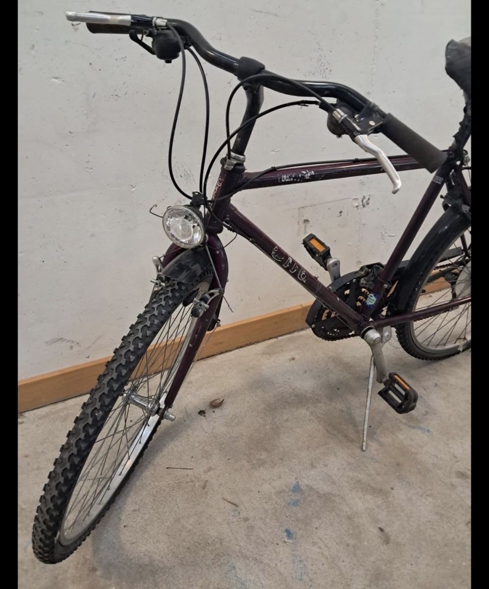 Biciclette: Top Velo / Citybike – Fahrbereit & Günstig – Usato da Zürich venduto da fir_h2dn 3