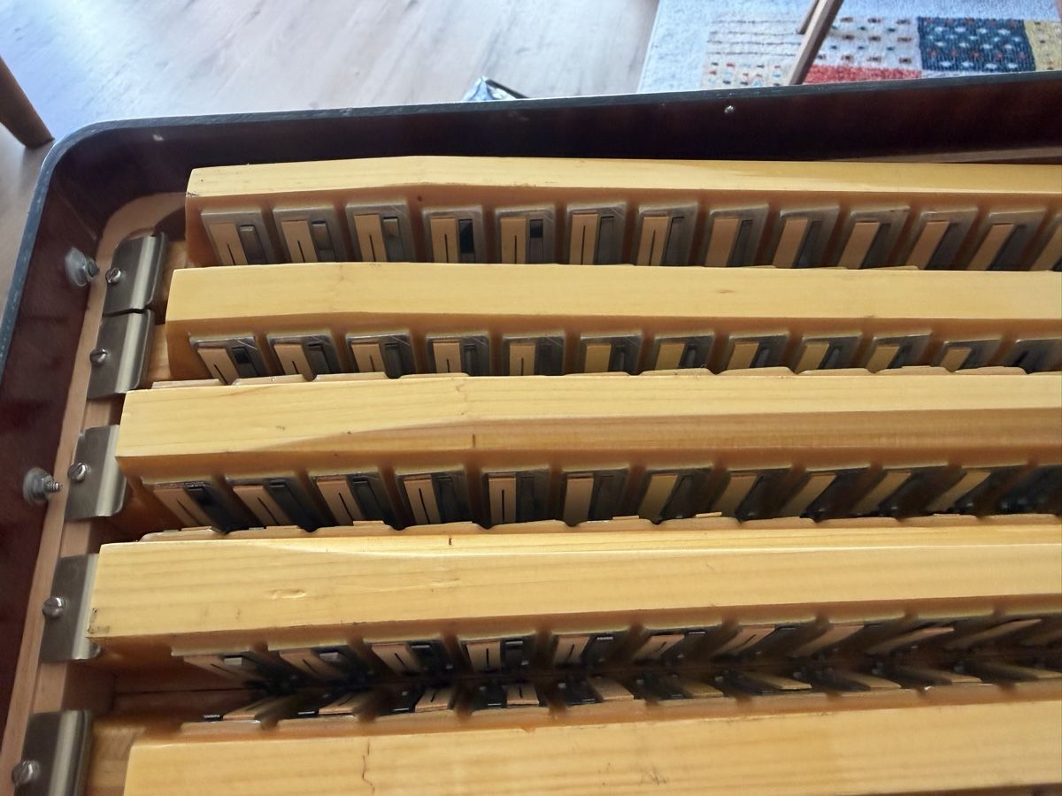 Hohner Strumenti musicali: Bugari armando TRE – Usato da Muhen venduto da MiGeiss64 8