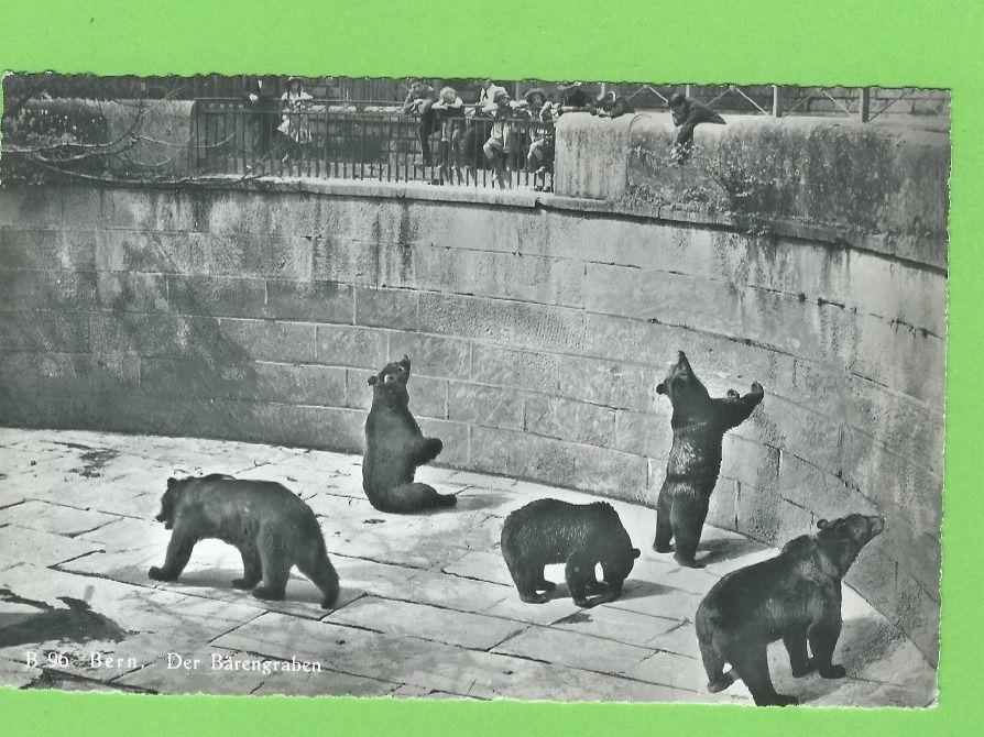 Cartoline postali: Bern der Bärengraben – Usato da Zürich venduto da t24_de