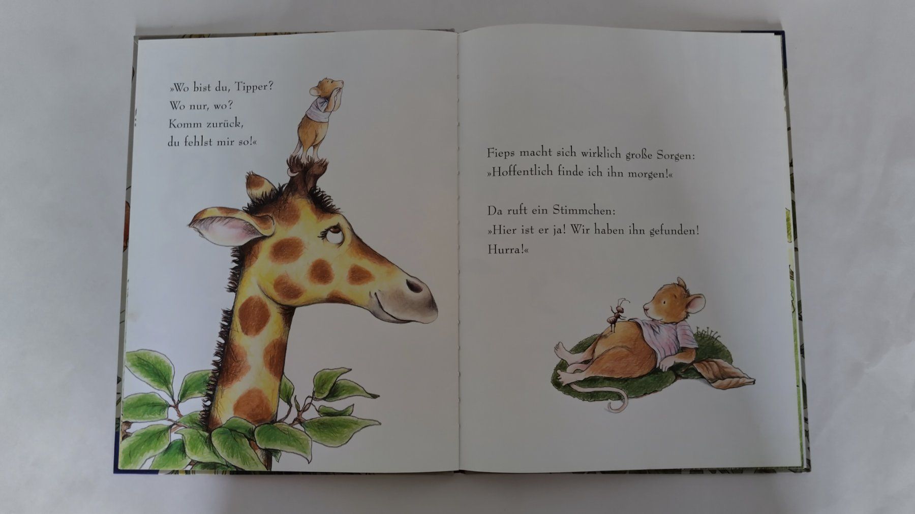 Libri: Wo bist du? / Bilderbuch 2004 ab Fr. 8.- / 2 Anfänge – Usato da Bellach venduto da JingleJerry 7