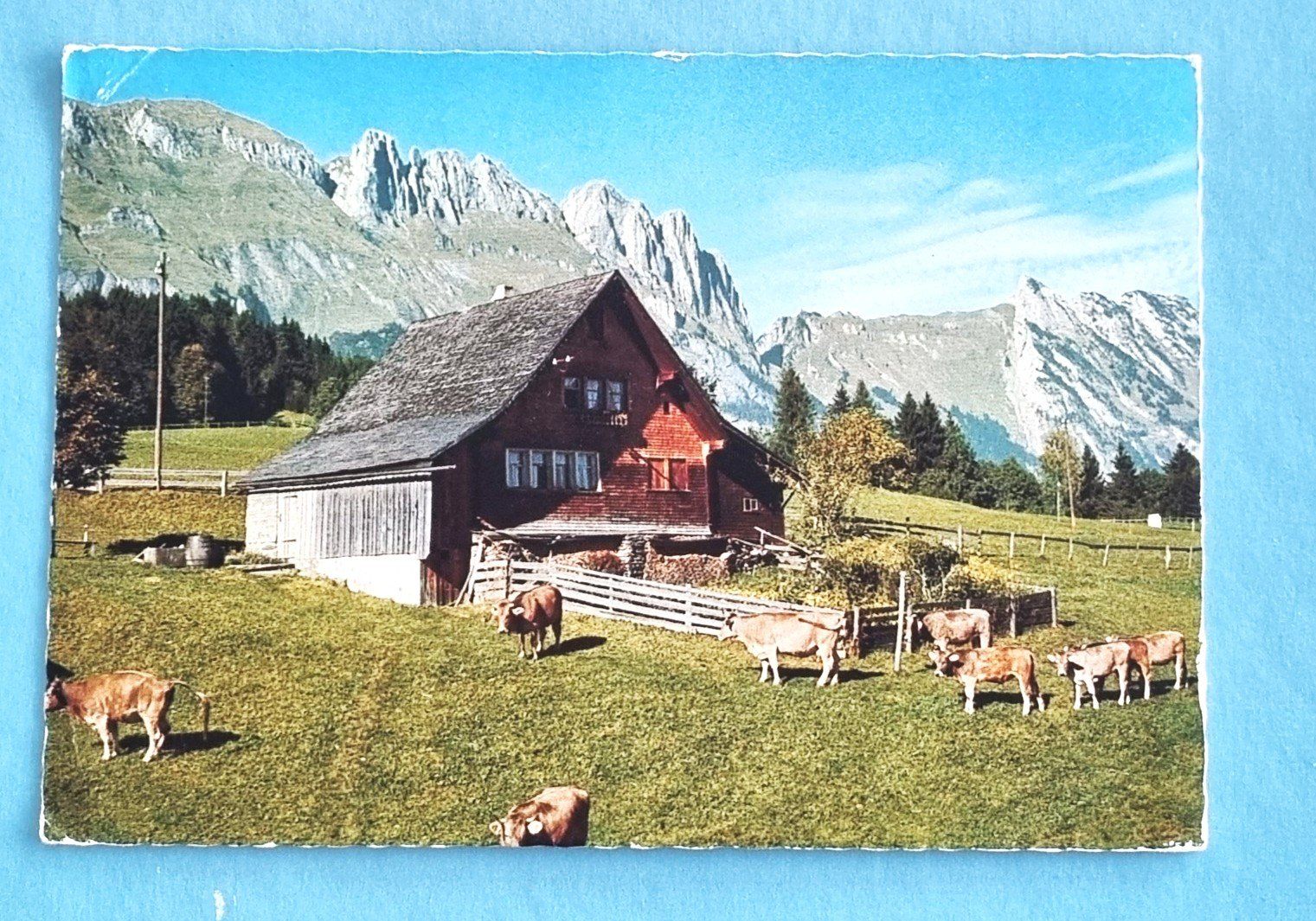Ansichtskarten: Gamsberg - Bergheimet - 1965 – Gebraucht aus Rothrist von RROENK