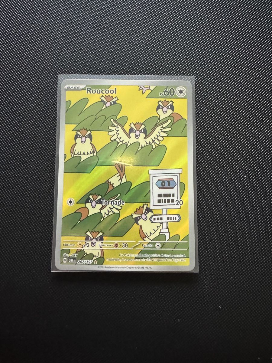 Pokémon Carte collezionabili: Roucool 207/197 AR NM FR – Nuovo e nell'imballaggio originale da Courtepin venduto da cr7_jk98