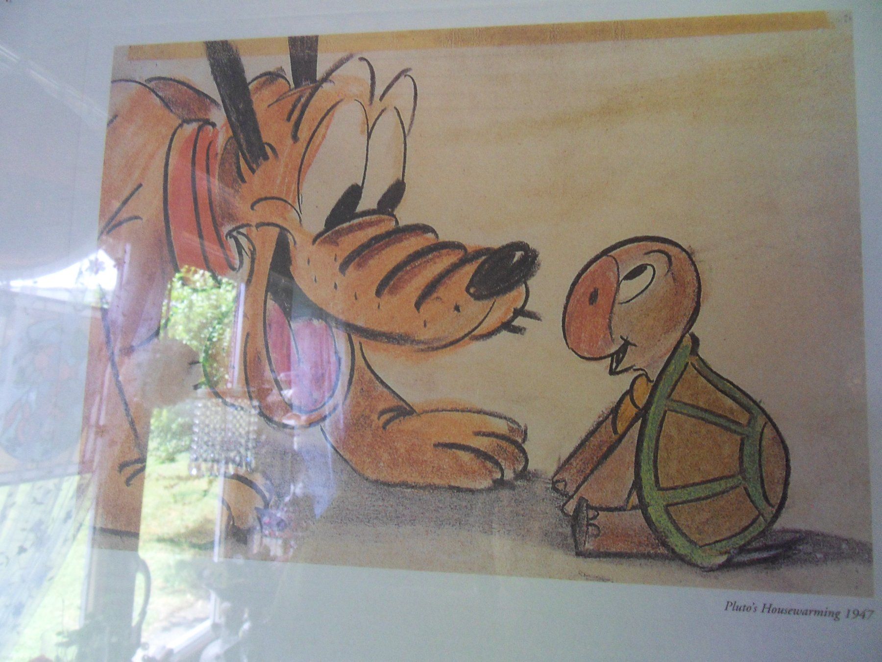 Poster & Bilder: Pluto und Schildkröte – Gebraucht aus Schongau von Eva-Katharina 1