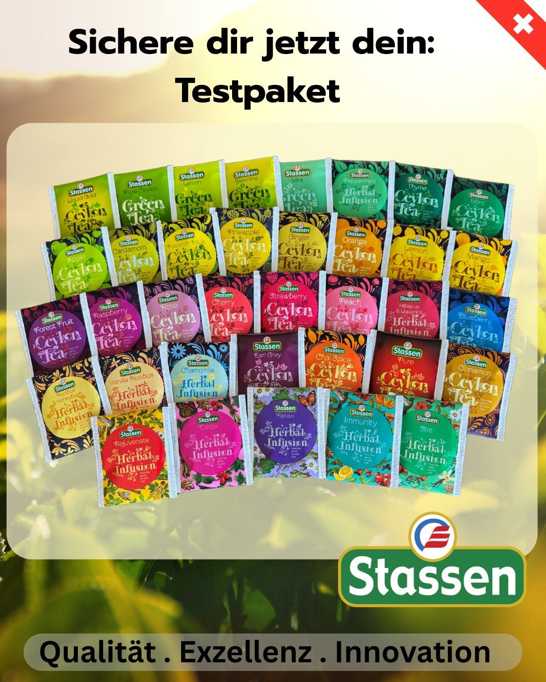 Lebensmittel & Spezialitäten: Testpaket Stassen Tea – Neu (gemäss Beschreibung) aus Gampelen von Geschenkxy