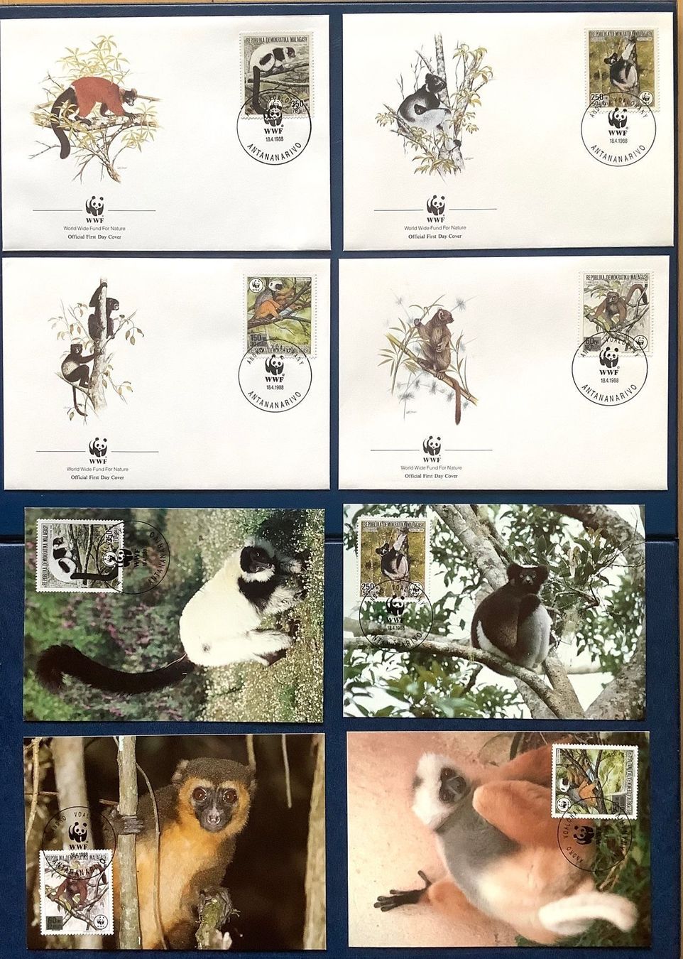 Tutti i francobolli: 1988 Madagaskar - Der Lemur - FDC + Maxi – Nuovo (secondo la descrizione) da Liestal venduto da Pep3
