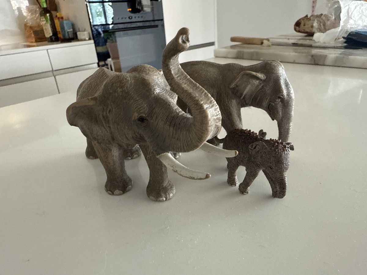Schleich Spielzeuge: 3 Elefanten 🐘 Schleich – Gebraucht aus Zürich von Mothai 1