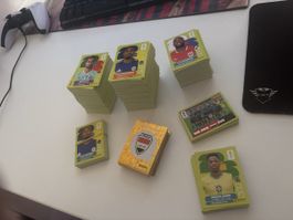 WM Panini Sticker 2026