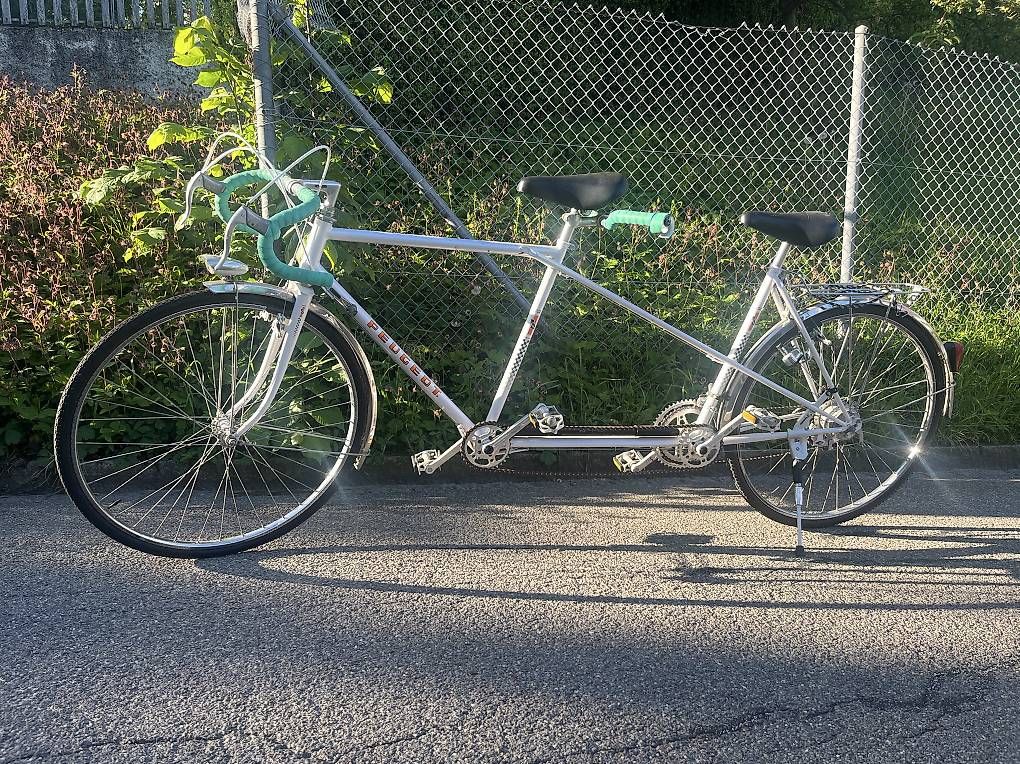 Biciclette: Gut gepflegtes Retro Tandem – Usato da St. Gallen venduto da klemi01 1