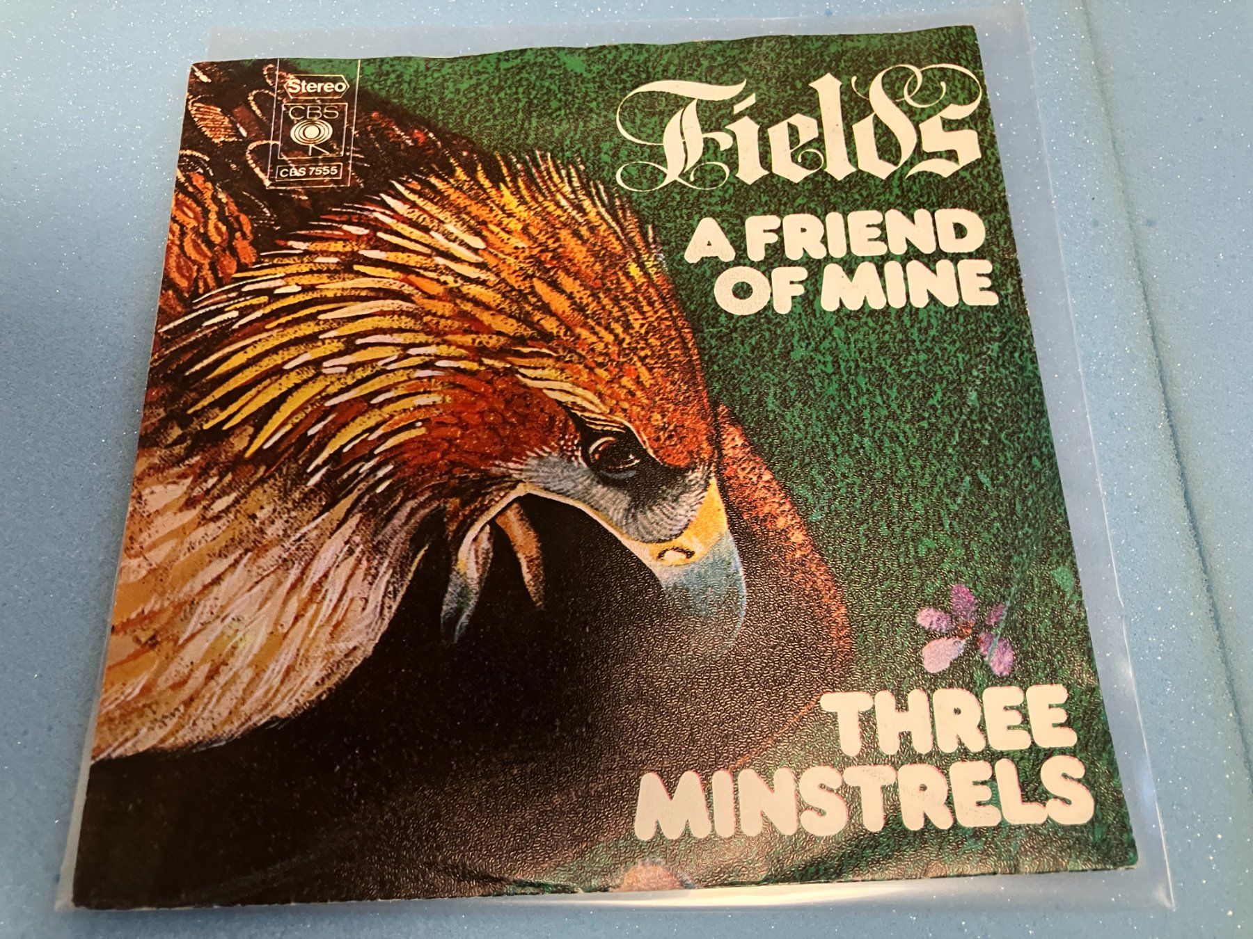 Dischi in vinile: Fields – Usato da Aarwangen venduto da Jukebox3