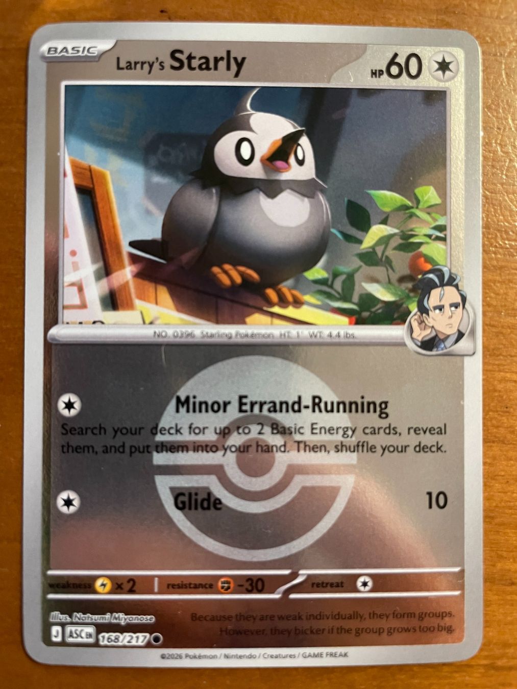 Pokémon Sammelbilder & Trading cards: Pokemon Larry's Starly Reverse (Versand gratis) – Neu (gemäss Beschreibung) aus Chur von Angerson