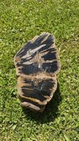 Versteinertes Holz Schrägschnitt Deko Petrified Wood poliert