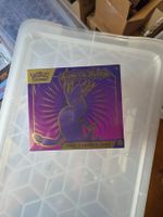 Pokémon Karmesin & Purpur TTB Miraidon (sealed)