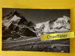 Zermatt, Schönbielhütte S. A. C.  Matterhorn, Téte de Lion,