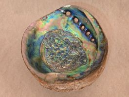Schönes Deko Abalone Perlmutt Muschel